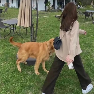 成都爱情故事